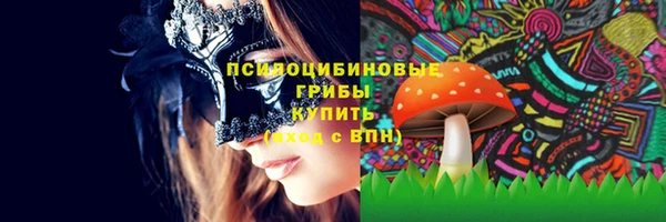 spice Гусев