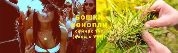 мяу мяу мука Гусиноозёрск