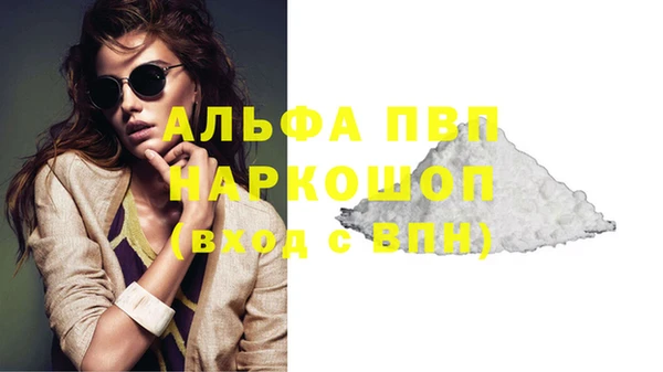 spice Гусев