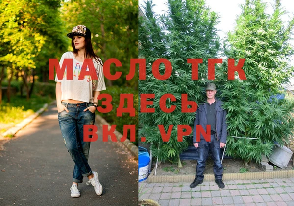 spice Гусев