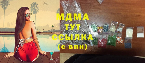 spice Гусев
